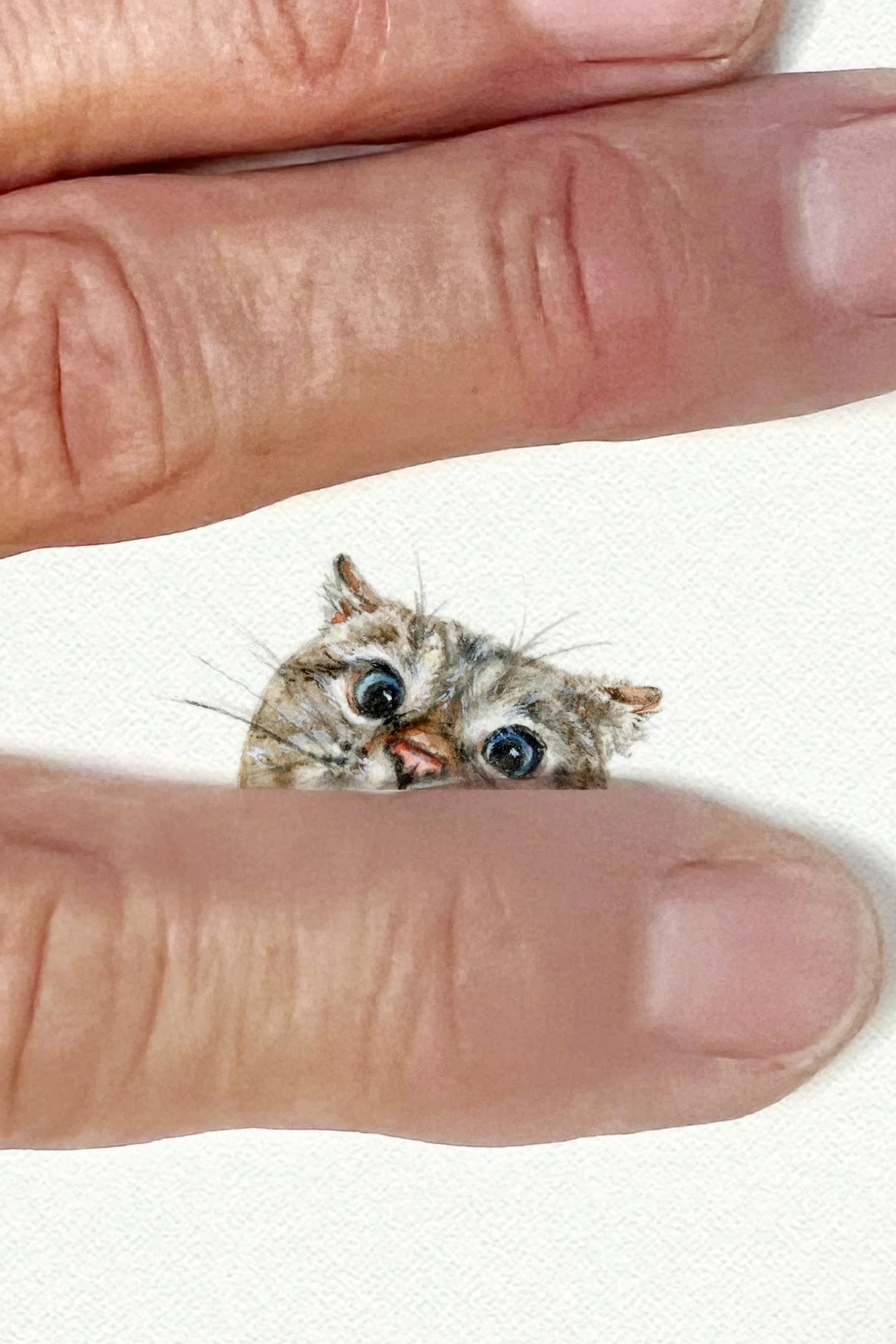 tiny watercolor print - cat peeking