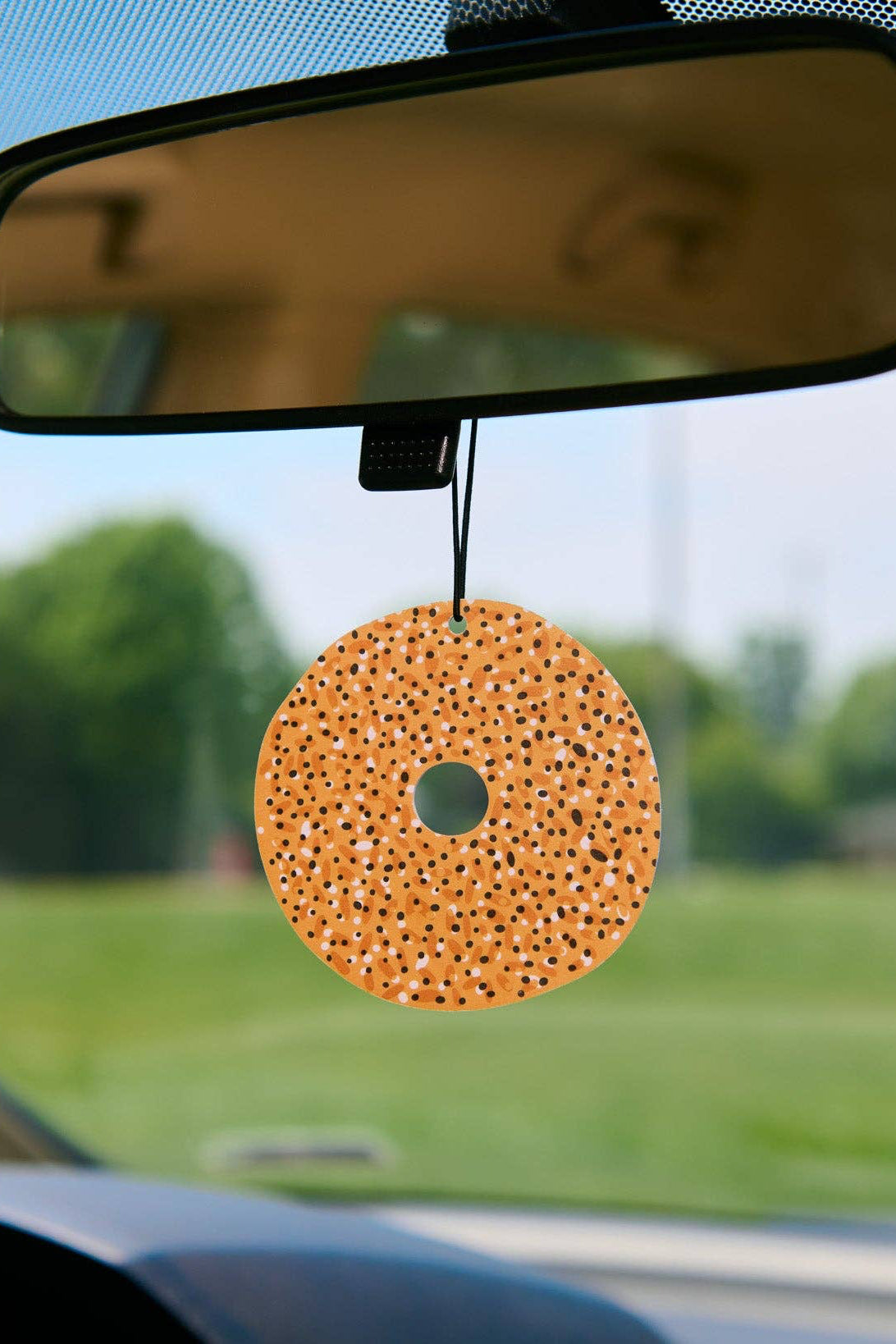Car air freshener hanging from a rearview mirror with a scenic background