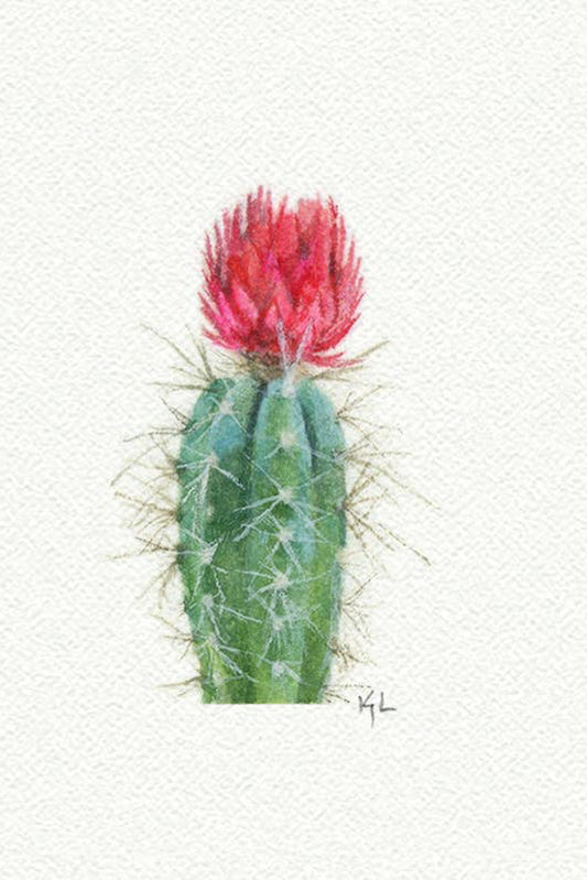 tiny watercolor print - cactus bloom