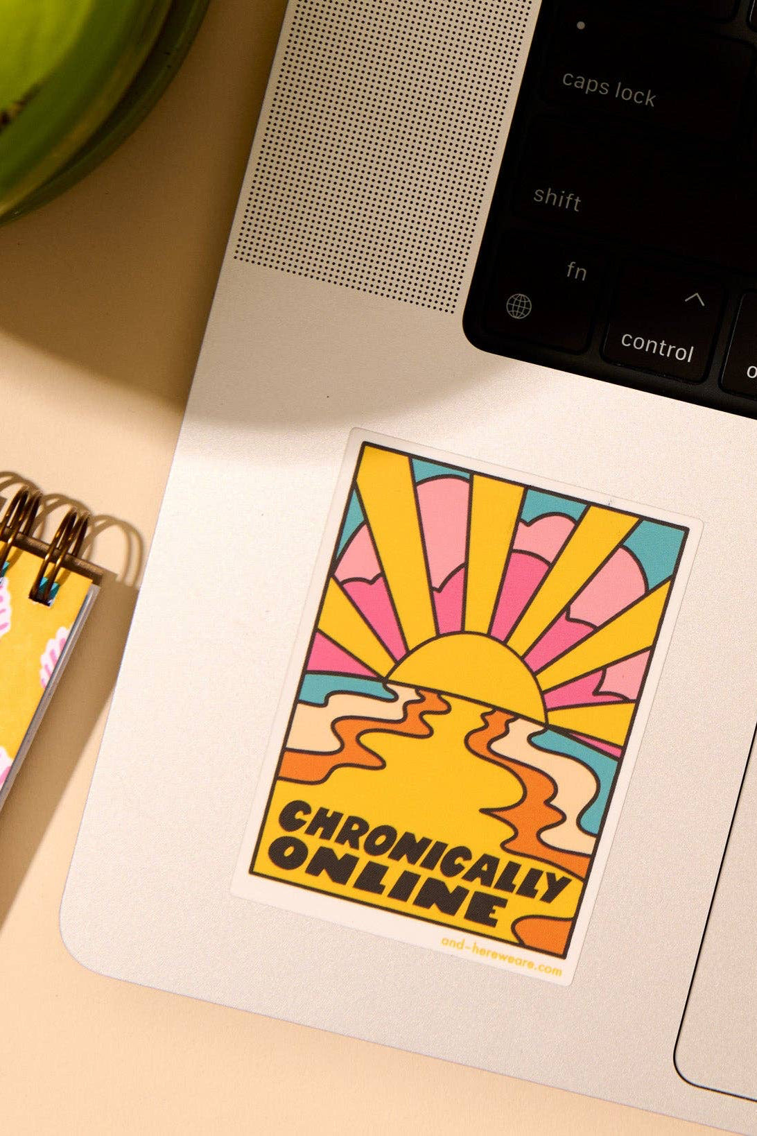 Notebook with shell pattern, laptop with 'Chronically Online' sticker, and green plant on a desk.