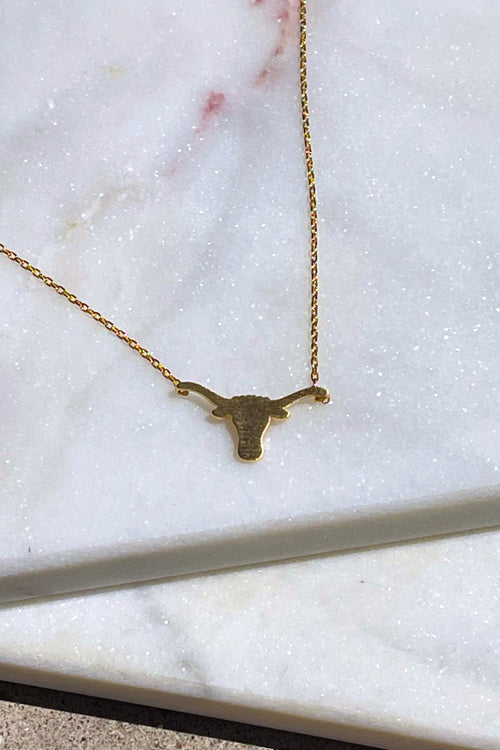 longhorn necklace
