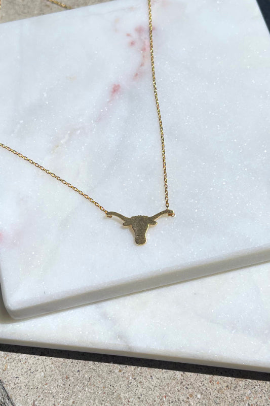 longhorn necklace