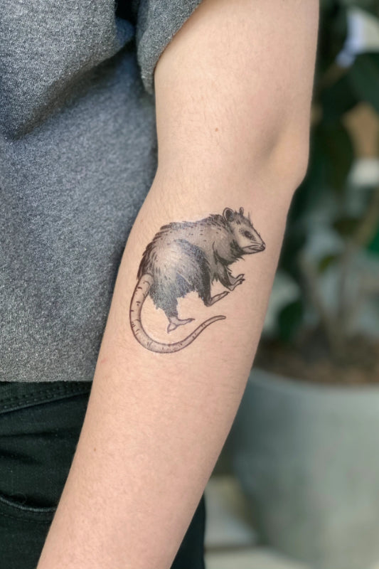 opossum temporary tattoo