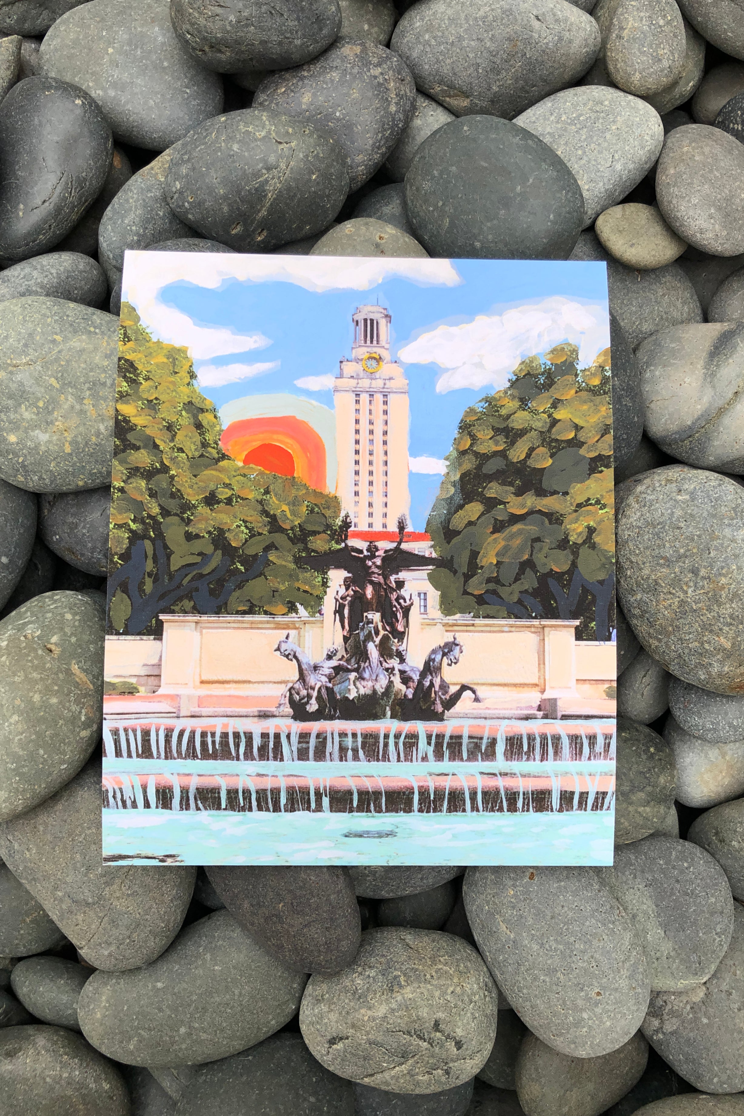 ut austin longhorn rainbow print | el baker